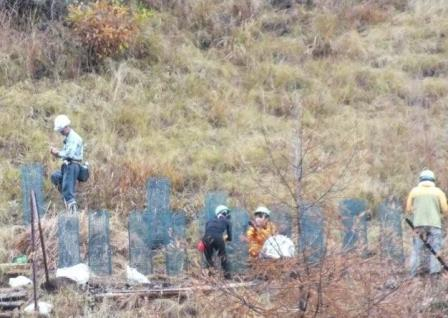 2015_1115_115508dscf6381