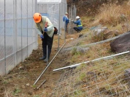 2015_1118_110923dscn2150