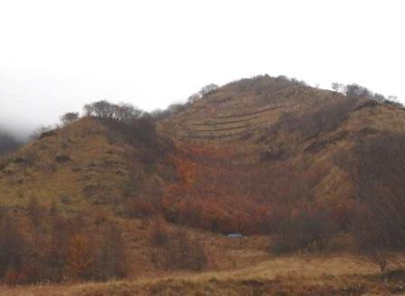 2015_1118_141554dscn2152