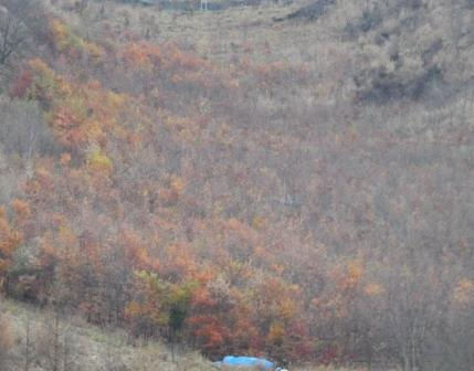 2015_1118_141635dscn2155