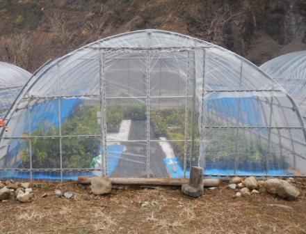 2015_1118_141731dscn2156