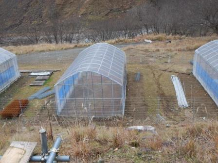 2015_1118_141915dscn2158