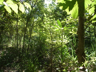 Dsc01378