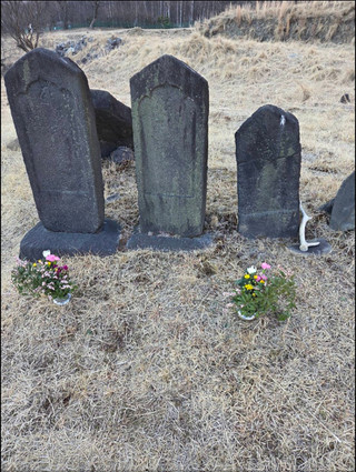 Screenshot_20260317_184552_line