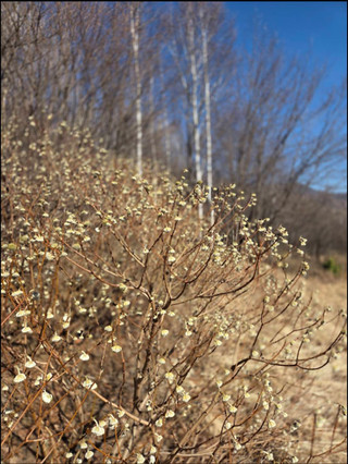 Screenshot_20260317_184557_line