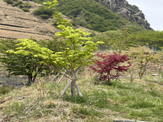 Image4_1_2