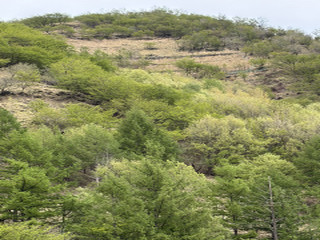 Image6_1