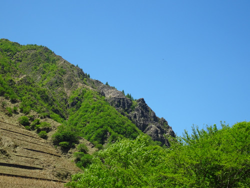 Dsc00306