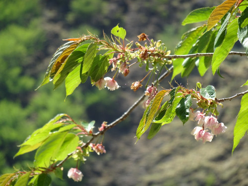 Dsc00319