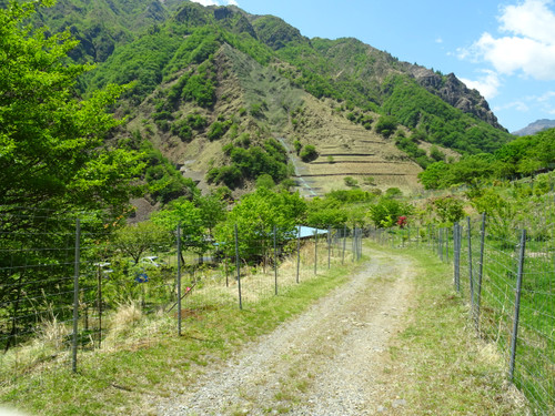Dsc00717
