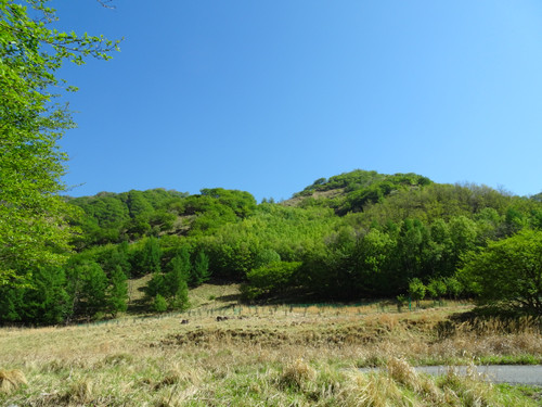 Dsc00516