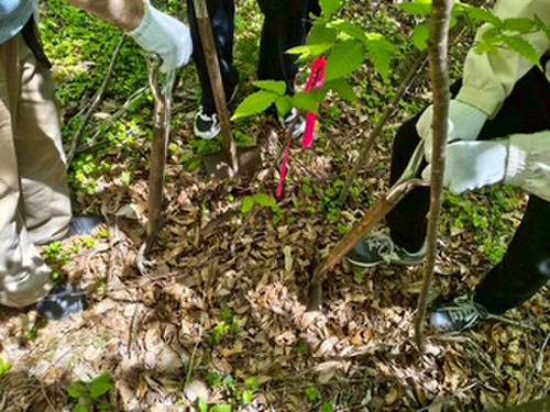 Image2_2