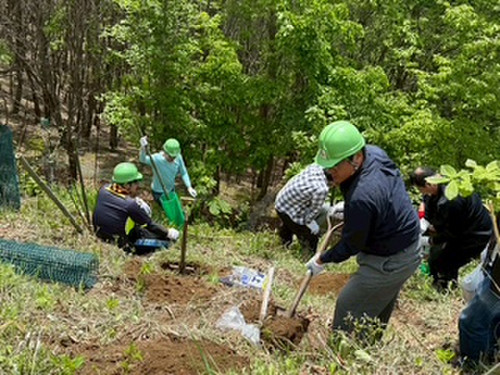 Image3_3
