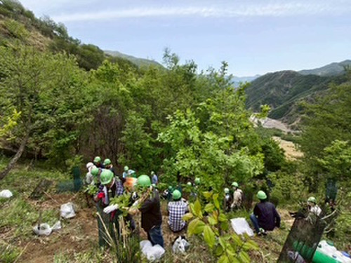 Image3_4