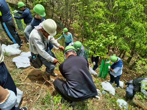Image4_4