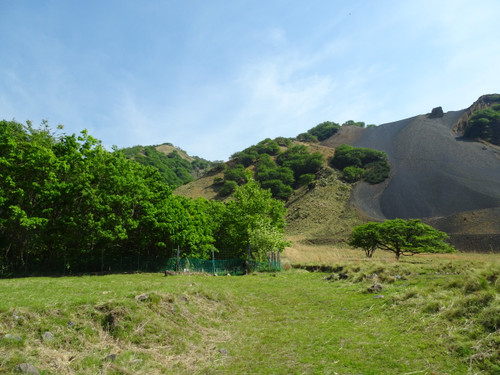 Dsc00975