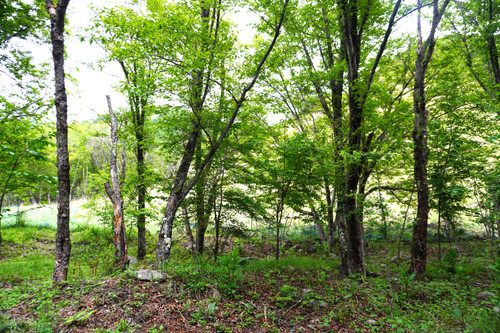 Dsc01067 Dsc01067