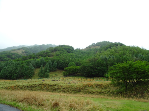 Dsc01243 Dsc01243