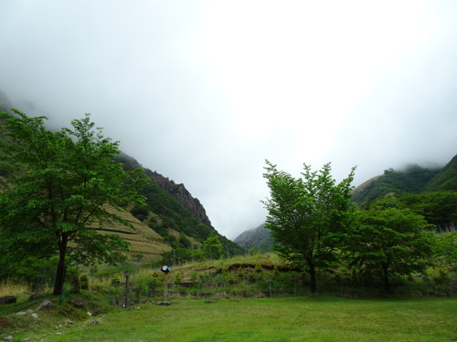 Dsc01295 Dsc01295