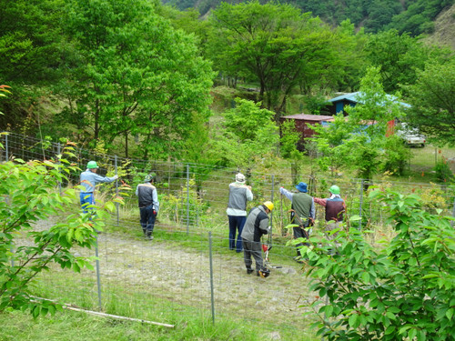Dsc01783