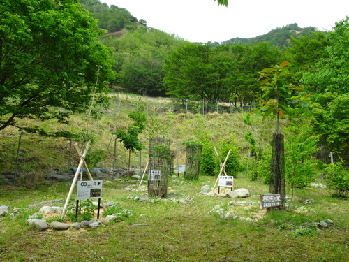 Dsc01807