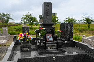 26060646