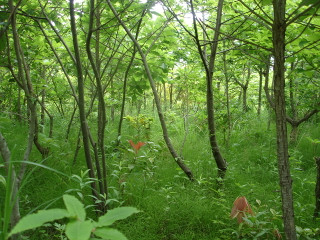 Dsc01402