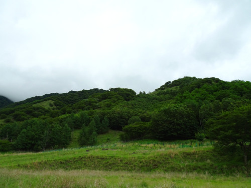 Dsc023091
