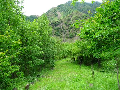 Dsc02347