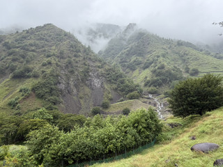 S__63512588 S__63512588