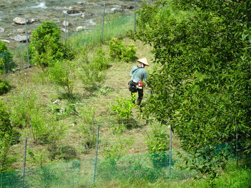 Dsc03274