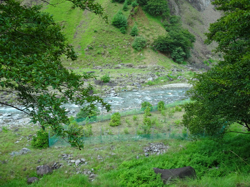 Dsc03277