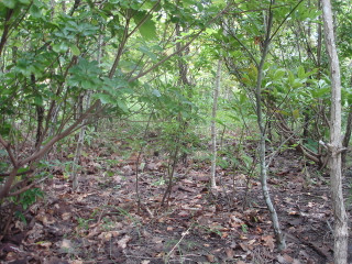 Dsc01442