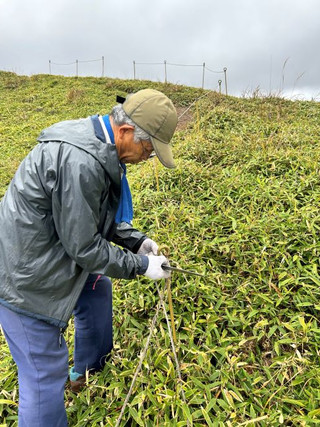 6 6