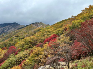 Yamada_2_2 Yamada_2_2
