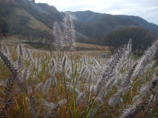 Photo_2