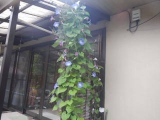 Photo_6